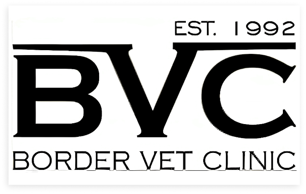 bvc